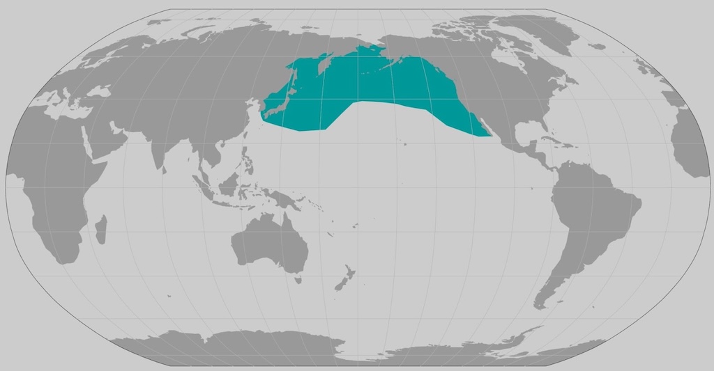 World map showing range of Baird's beaked whale.