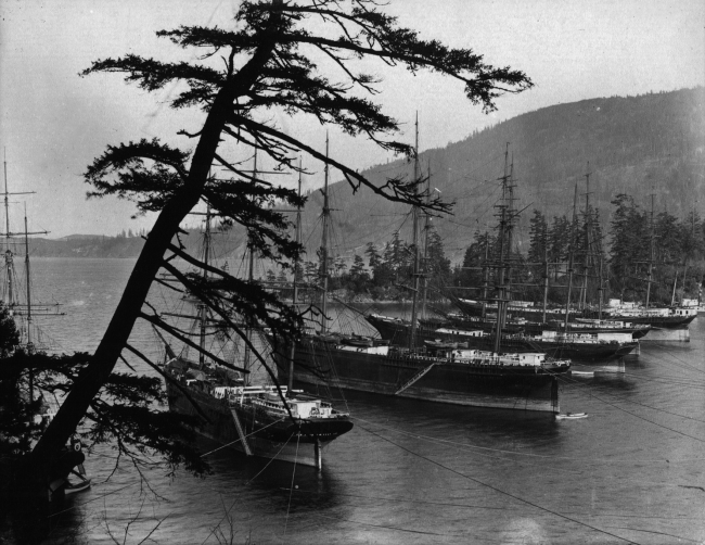 Cannery tenders in Chuckanut Bay, 1906. Photo source unknown.