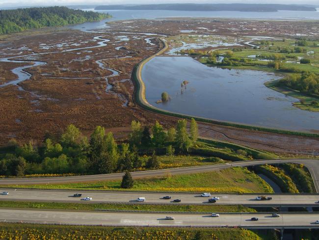 McAllister Creek at Low Tide, west side of Nisqually Delta. Credit: Russ McMillan (CC BY-NC-ND 2.0) https://www.flickr.com/photos/59134928@N04/5437196353