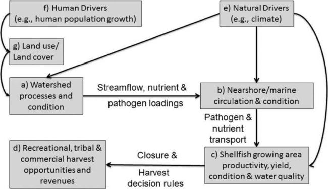 Project overview, figure 1.