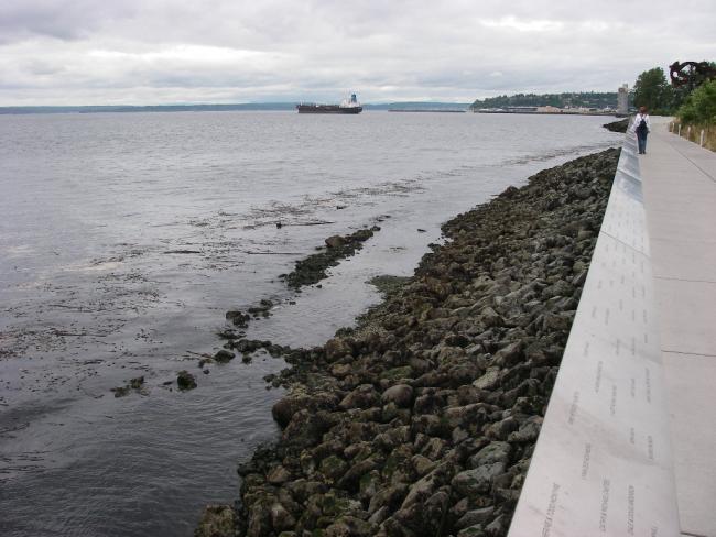 Image shows the habitat bench at low tide with kelp beds on the seaward side. Photo by Jason Toft