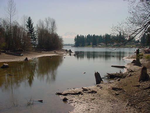 Lake Tapps, an artificially enlarged lake used as a reservoir in the White River watershed. Photo copyright King County. 