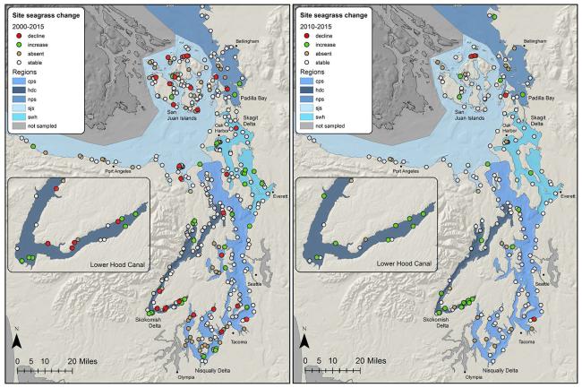 Left: Sites with clear trends in native seagrass area between 2000 and 2015. Right: Sites with clear trends in native seagrass area between 2010 and 2015. Source: WA DNR Puget Sound Seagrass Monitoring Report (2015)