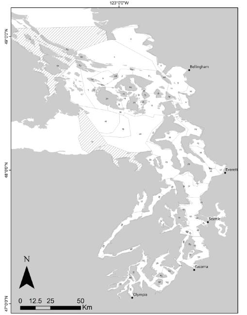 Atlantis model polygon map  Map of Puget Sound showing 89 polygons used in the Atlantis model