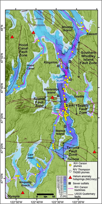 ​​​​Methane bubble plumes (yellow and white circles) are shown along the ship paths (purple). Black lines depict fault zones. Major sewer outfalls, shown as black squares, do not line up with the plumes so were ruled out as a source. (From article by Johnson et al, UW)