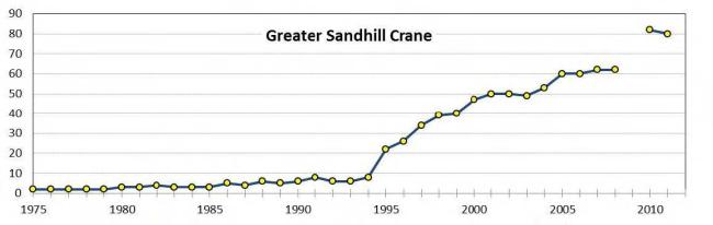 Population estimate of greater sandhill cranes in Washington, 1975-2012.