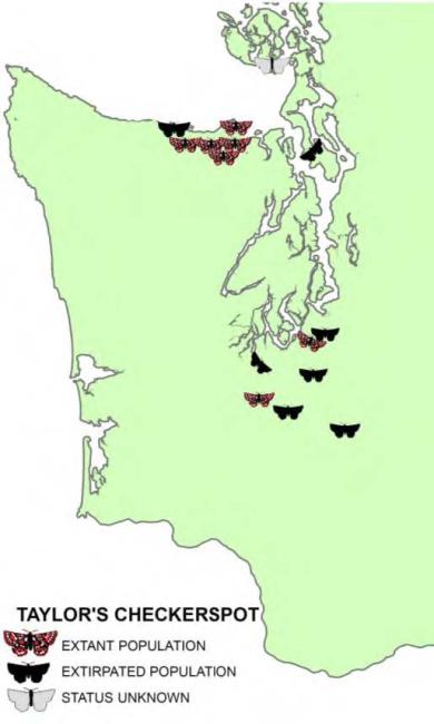 Extant and extirpated populations of Taylor’s checkerspot in Washington (some sites have been aggregated with a single symbol).