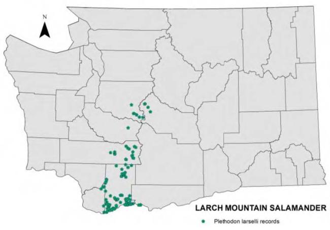 Records of Larch Mountain salamander in Washington through 2011.