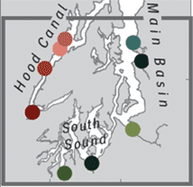 Snippet of Banas, et al. Patterns summary, figure 1.