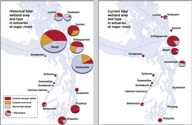 Loss of historical habitat types in Puget Sound (Collins, 2006) Loss of historical habitat types in Puget Sound (Collins, 2006)