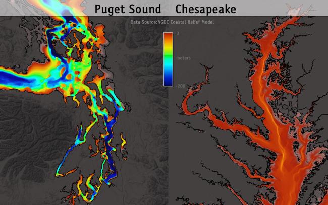 Comparative bathymetry for Puget Sound and Chesapeake Bay. Data source: National Geographic Data Center; Image courtesy: UW Center for Environmental Visualization