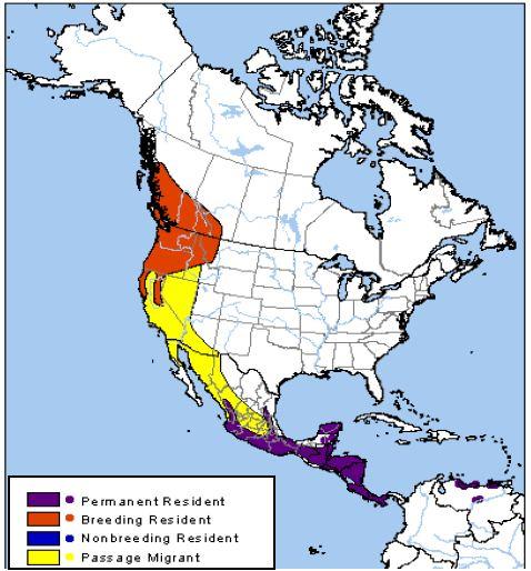 Range of Vaux’s swift (NatureServe).