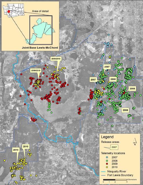 Figure 4. Telemetry locations for western gray squirrels translocated to JBLM, 2007-2010 (Vander Haegen et al. 2011).