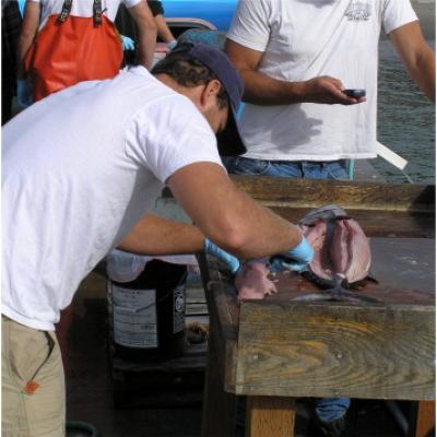 Fisherman cleaning and filleting a fish. Photo courtesy of NOAA.