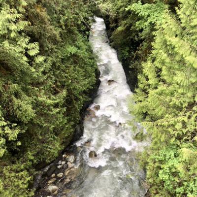 A tributary of the Nooksack River. Photo courtesy NOAA Fisheries.
