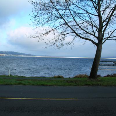 2003 Seattle Marathon - Seward Park Photo: J Brew (CC BY-SA 2.0) https://www.flickr.com/photos/brewbooks/1282527696