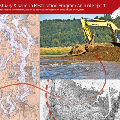 2010 Estuary and salmon restoration program annual report cover