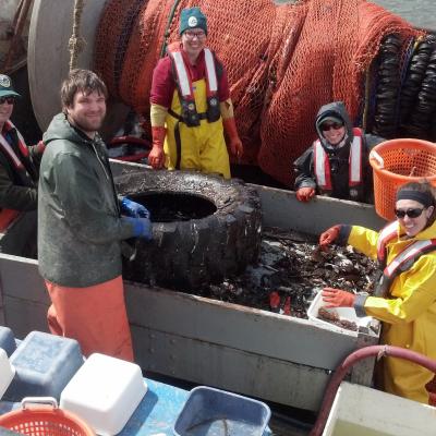 WDFW biologists sorting and measuring fish from PSEMP's index sites in the Duwamish River and near the Seattle Waterfront. Photo: WDFW