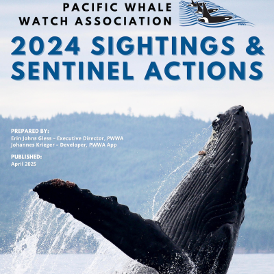 Cover of the Pacific Whale Watch Association 2025 Sightings and Sentinel Actions report, featuring a photograph of a breaching humpback whale.