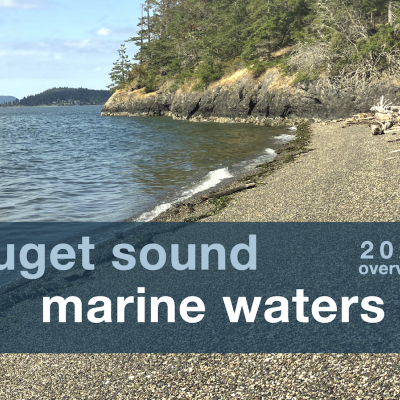 Puget Sound Marine Waters 2025 Overview report cover with image of a beach with driftwood and trees in the background on a sunny day.
