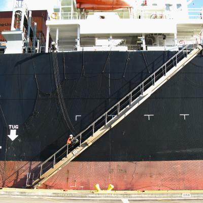 A state inspector boards a container ship at the Port of Seattle to check on ballast water and determine whether procedures were followed to reduce the risk of invasive species being released into Puget Sound.  Photo: WDFW