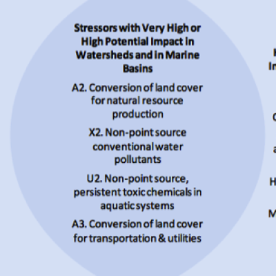 Stressors with Very High or High Potential Impact in Puget Sound