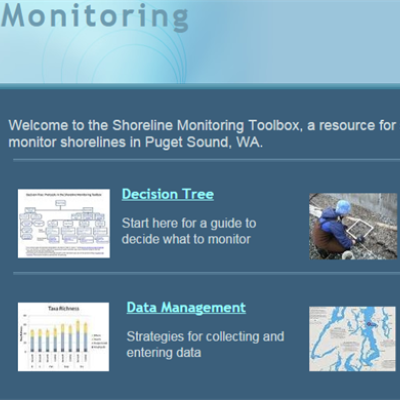 Screenshot of the shoreline monitoring toolbox