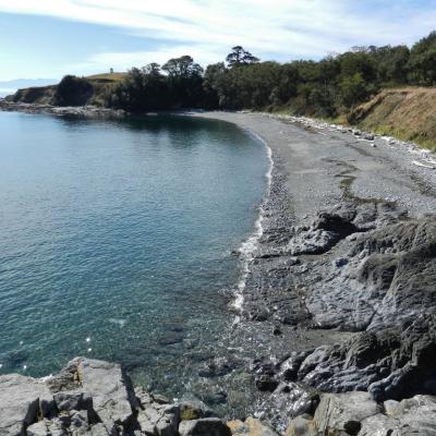Cattle Point Beach, San Juan Island, WA. Photo: Travis S. (CC BY-NC 2.0) https://www.flickr.com/photos/baggis/8089171175