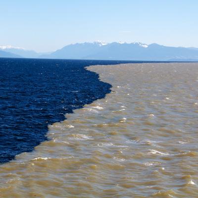 A sharp boundary appears as sediment-laden freshwater is discharged from British Columbia's Fraser River into the Salish Sea. Fresh water, which is less dense than salt water, spreads in a shallow (approximately 1 m deep) plume at the sea surface. Photo: Ed McNichol, Ocean Networks Canada (CC BY-NC-SA 2.0) https://www.flickr.com/photos/oceannetworkscanada/8711686267