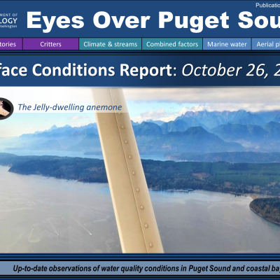Eyes Over Puget Sound report cover