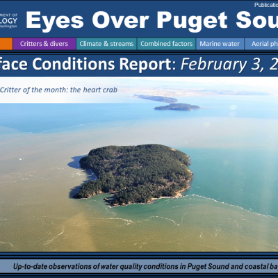 Report cover