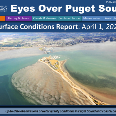 Report cover