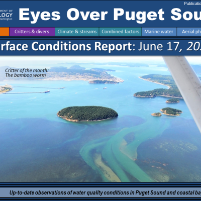 Eyes Over Puget Sound: Surface Conditions Report - June 17, 2021 Report cover