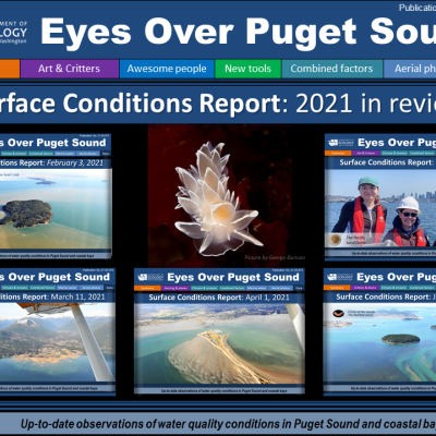 Eyes Over Puget Sound report cover