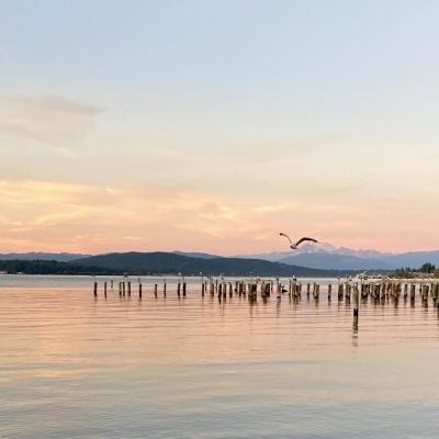 Salish Sea with Mt Baker in the background
