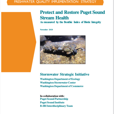 Report cover