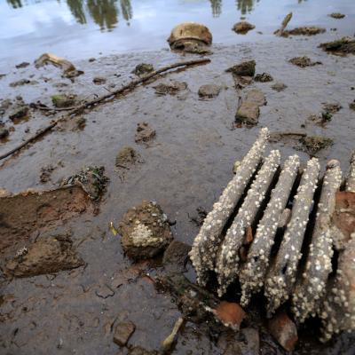 A rusty radiator and other debris in sediment of the Duwamish River at low tide.