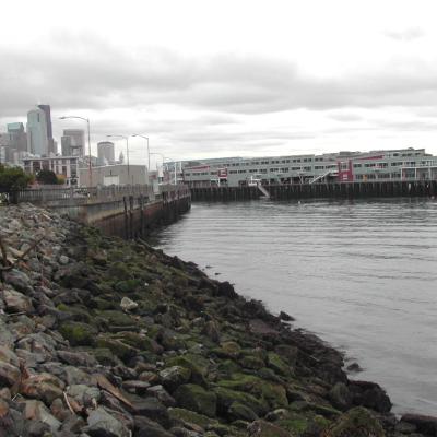 Beach near the Olympic Scuplture Park before restoration. Photo by Jason Toft
