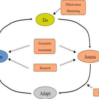 Figure 1. The adaptive management process used in the Action Agenda and Science Plan for the Puget Sound Partnership (page 4).