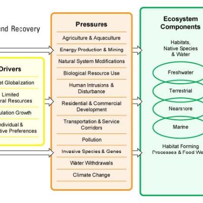 Figure 1.  General Conceptual Model of Puget Sound Recovery (page 2).