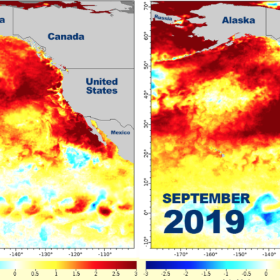 In 2014 and 2019, sea surface temperatures across a broad area warmed to well above average (0 in the middle of the key). On map, 3° C = 5.4° F // Map: NOAA Fisheries
