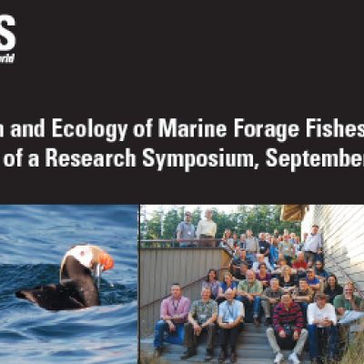 Report cover image