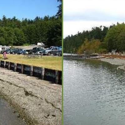 Armor-removal project at Cornet Bay State Park before and after site restoration. Photo courtesy of PSEMP