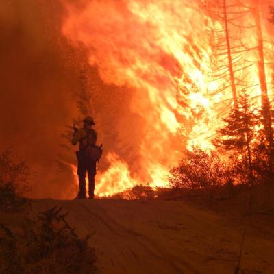 The Cougar Creek Fire in Klickitat County, Washington, 2015. Photo: USFS   