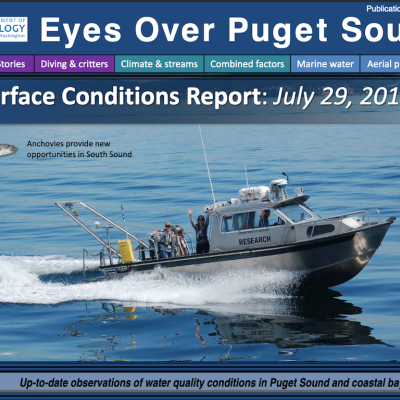 Eyes Over Puget Sound report cover