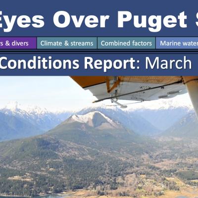Report cover