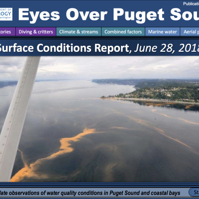 Eyes Over Puget Sound: Surface Conditions Report – June 28, 2018