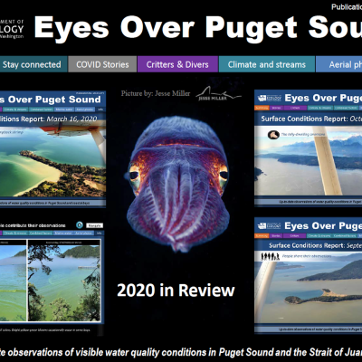 Eyes Over Puget Sound report cover