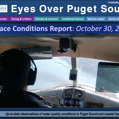 Report cover