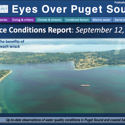 Report cover